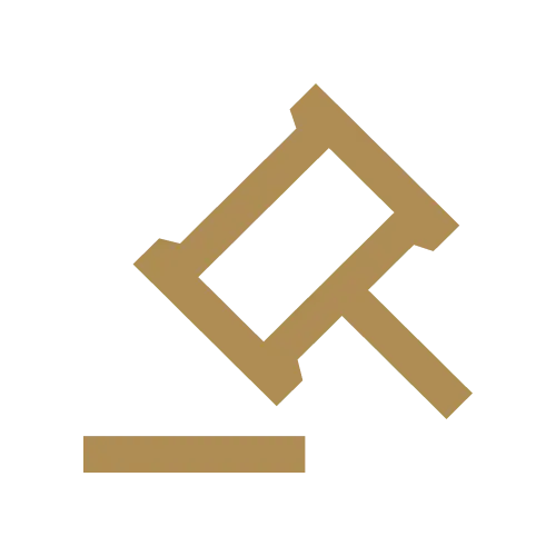 Real Estate Communication Icon